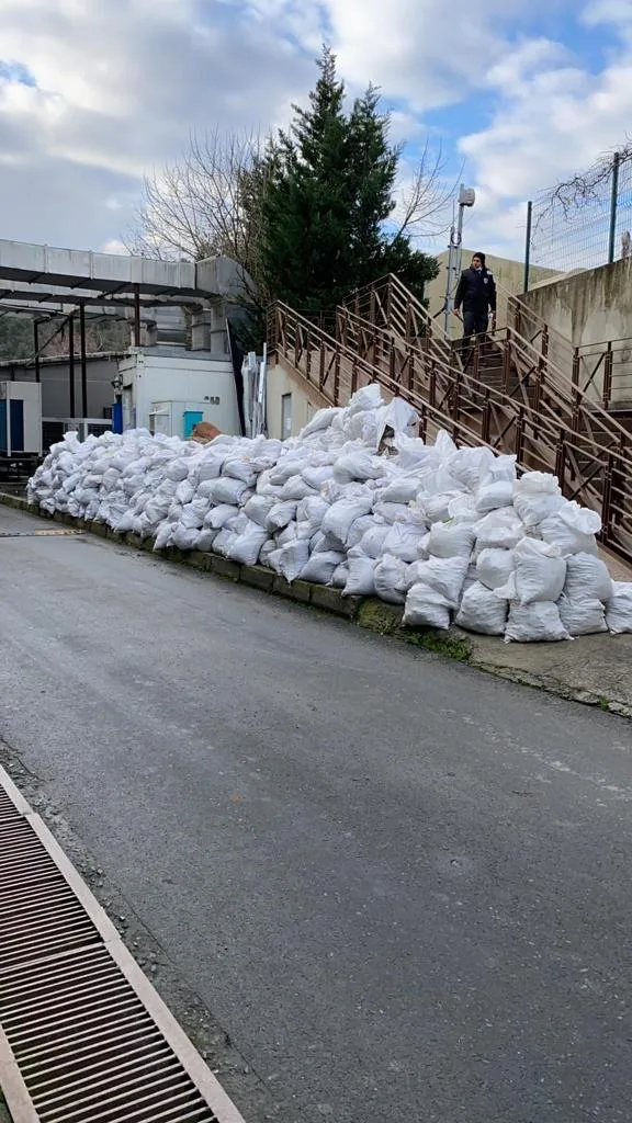 Alo Moloz Hattı